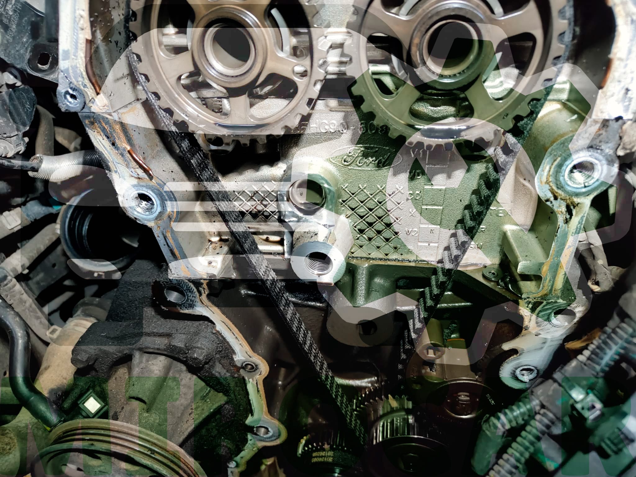 mokry pasek rozrządu ford