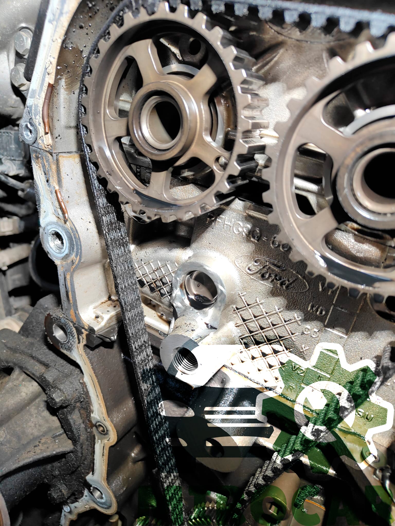 mokry pasek rozrządu ford